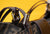 LW - Luxury Handbags FEI 022